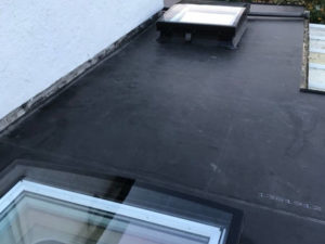 essex skylight 01
